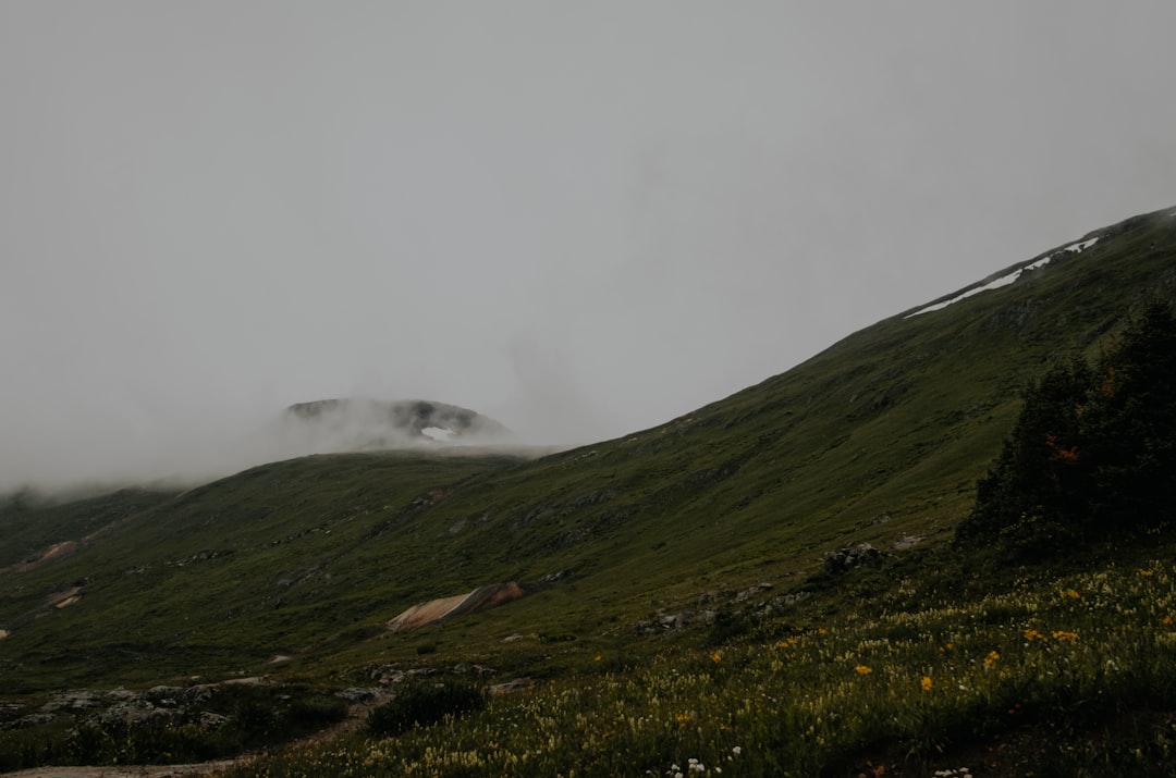 Bulgarian wine regions