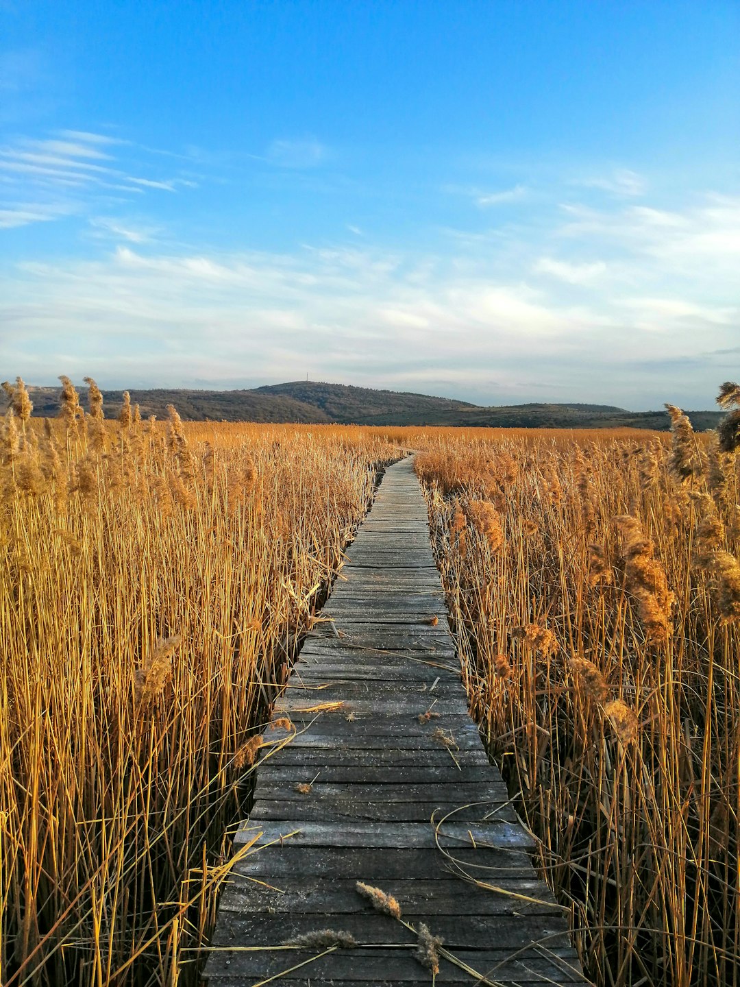 Bulgarian landscape exploration